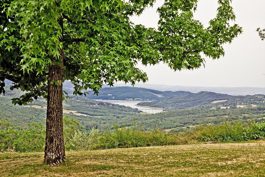 Agriturismo Terra Di Michelangelo Caprese Michelangelo Exteriér fotografie